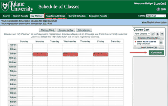 screenshot of instructions