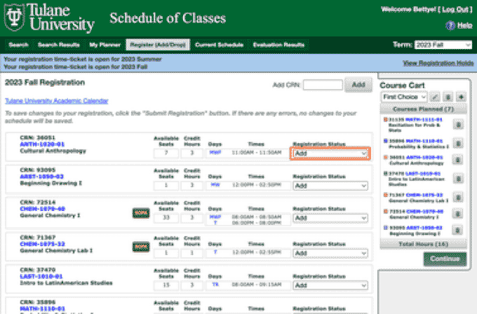 screenshot of instructions