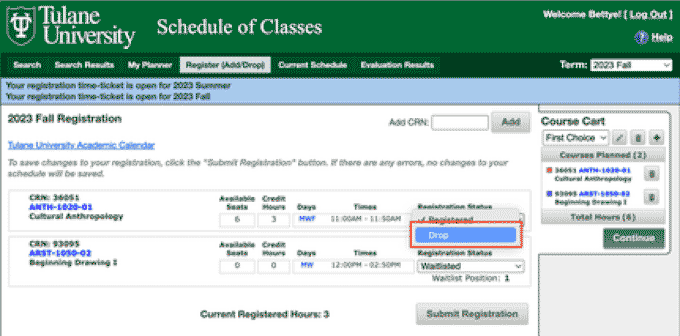 screenshot of instructions