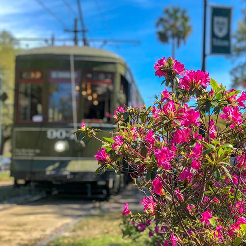 St Charles Street Streetcar